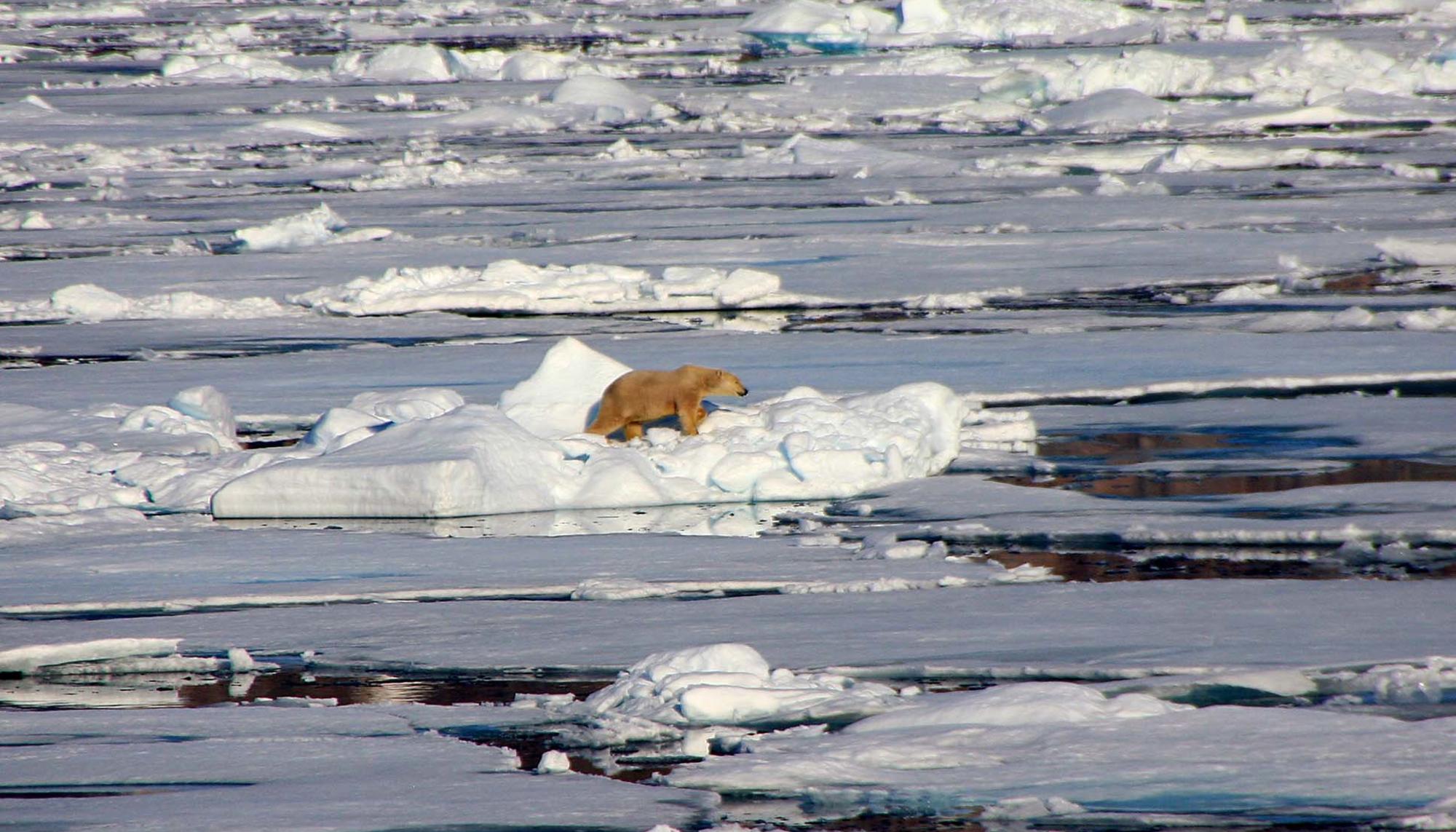 svalbard